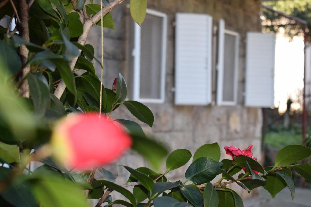 Old Town Studios Budva Eksteriør bilde